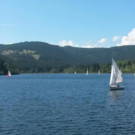 Ferienwohnung Feldberg Schwarzwaldnest 아파트 *
