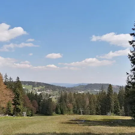 아파트 Ferienwohnung Feldberg Schwarzwaldnest