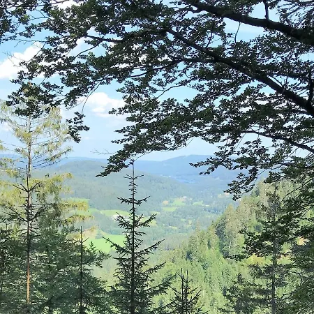 Ferienwohnung Feldberg Schwarzwaldnest *