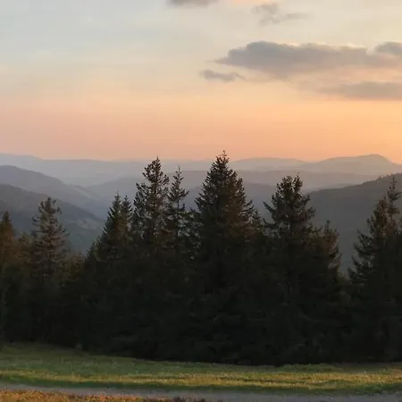 아파트 Ferienwohnung Feldberg Schwarzwaldnest 펠트베르크