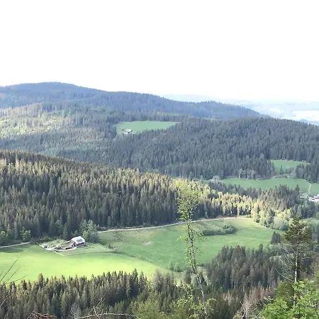 Ferienwohnung Feldberg Schwarzwaldnest 아파트