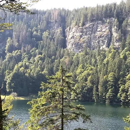 아파트 Ferienwohnung Feldberg Schwarzwaldnest 펠트베르크