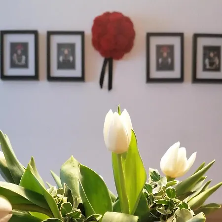 아파트 Ferienwohnung Feldberg Schwarzwaldnest 펠트베르크